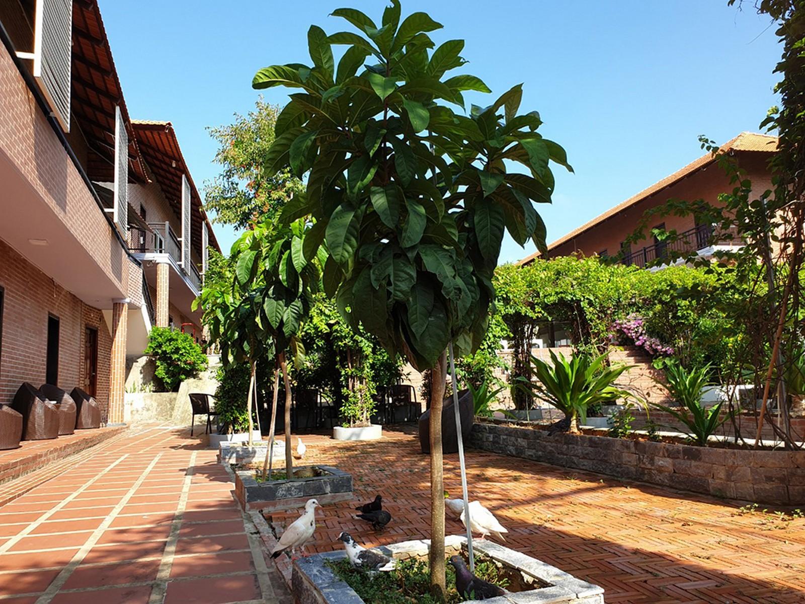 Countryside Phu Quoc Resort Eksteriør bilde
